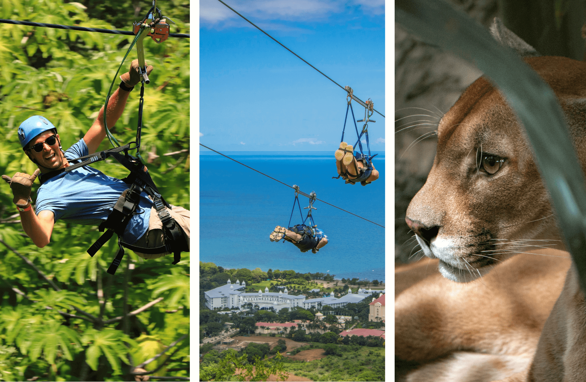 Pumas-Santuary-zip-line-min